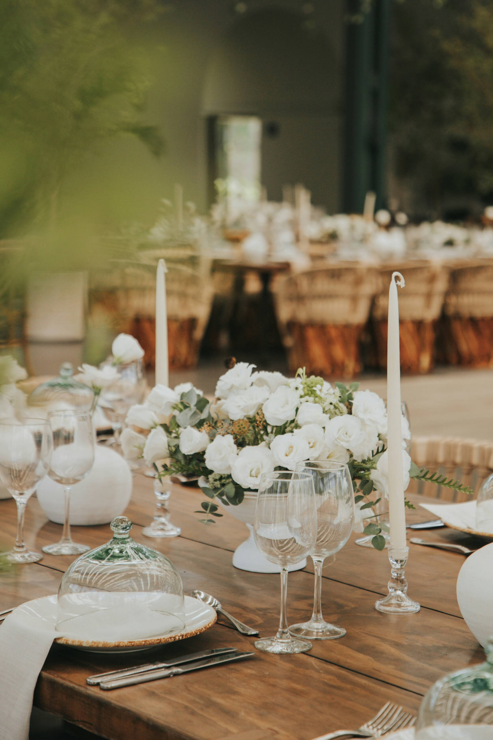 Bodas